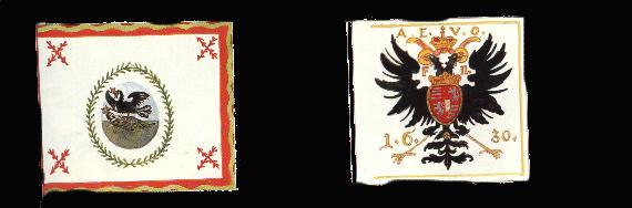 Impfan2.jpg (18765 bytes)